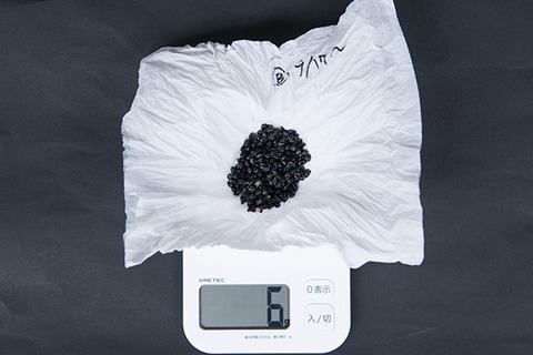 20161008yusuge_B_weight01.jpg