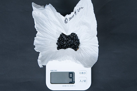 20161012yusuge_C_weight01.jpg