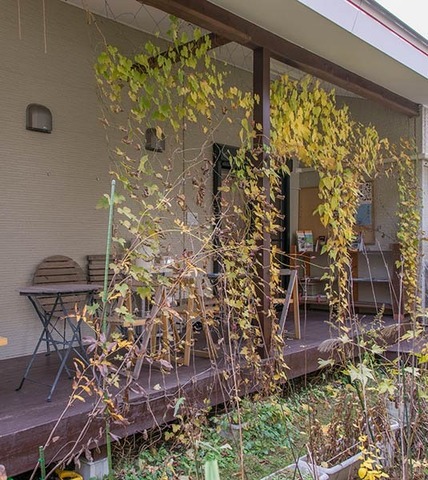 20161029midori01.jpg