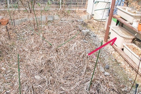 20170319hakobe01.jpg