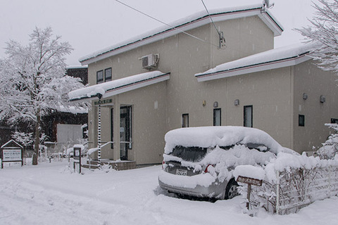 20170327museum-snow.jpg