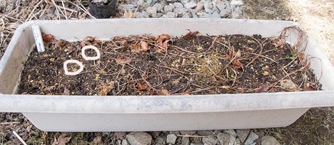 20170405yusuge_3y_planter_20150510-01.jpg
