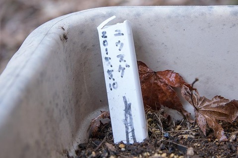 20170405yusuge_3y_planter_20150510-03.jpg