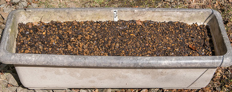 20170414yusuge_planter_1y_20170414.jpg