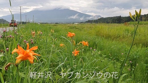 20170428museum-yabukanzo-photo05.jpg
