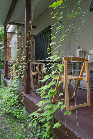 20170608midori02.jpg