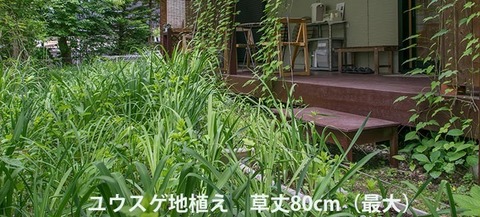20170612yusuge-jiue01.jpg