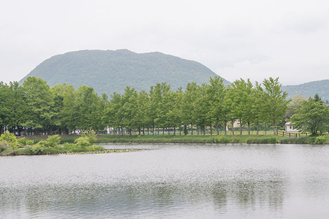 20170618yagasaki-hanareyama-katsura.jpg