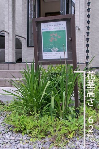 20170629yusuge_entrance01.jpg