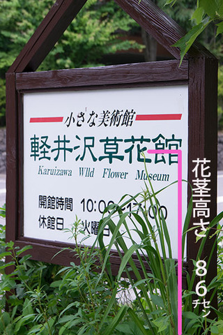 20170629yusuge_kanban01.jpg