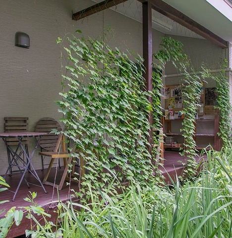 20170702midori00.jpg
