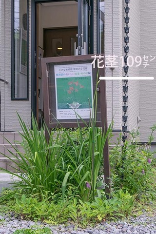 20170705museum-irikuchi01.jpg