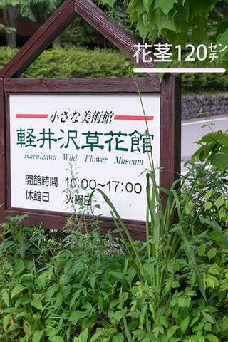 20170705yusuge_kanban01.jpg