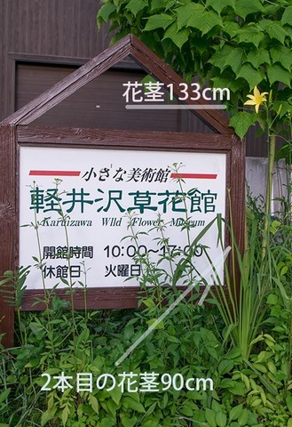 20170714yusuge_kanbanA01-1748.jpg