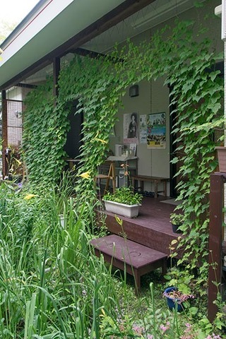 20170802midori01.jpg