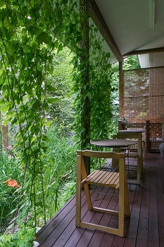 20170802midori03.jpg