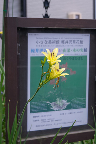 20170802yusuge_jiueA02-1633.jpg