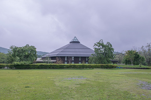20170803yagasaki-shidare00.jpg