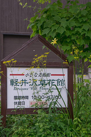 20170804yusuge_kanbanmae01-1637.jpg