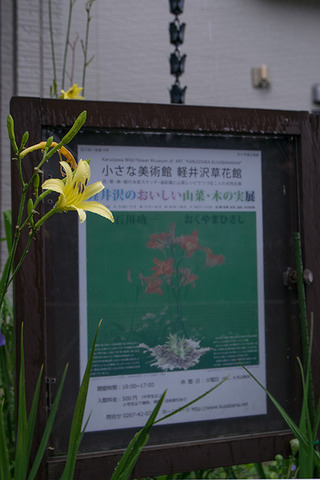 20170807yusuge_irikuchi-1629.jpg