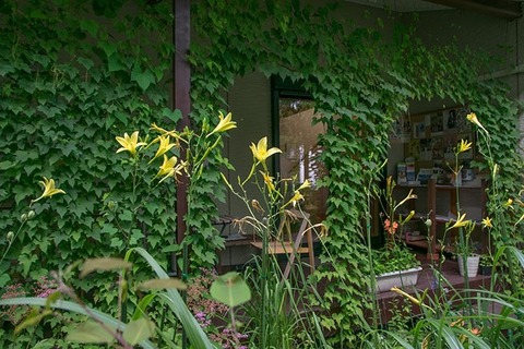 20170809yusuge01_1619.jpg