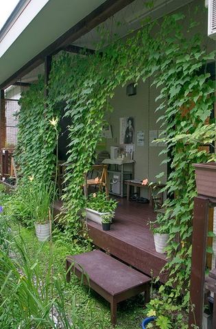 20170812midori02.jpg