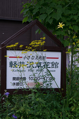 20170813yusuge_jiue_A01-1736.jpg