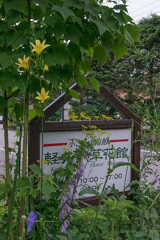 20170814yusuge_jiue_A01-1643.jpg