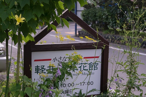 20170819yusuge_jiue_A01-1636.jpg