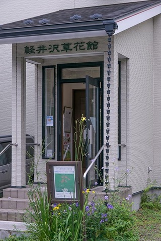 20170820yusuge_jiue_A01-1529.jpg
