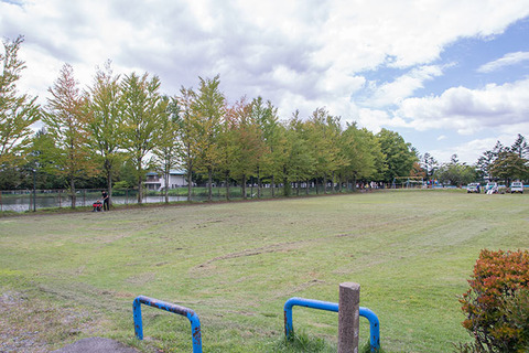 20170901yagasaki-katsura01.jpg