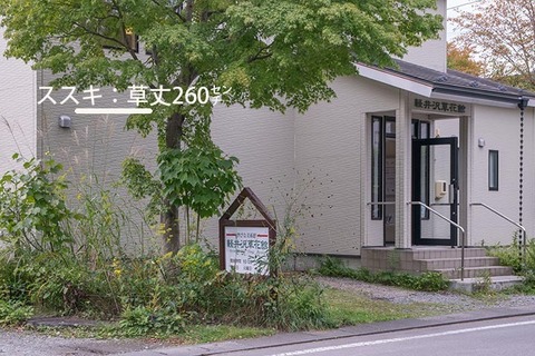 20170920museum_susuki01.jpg