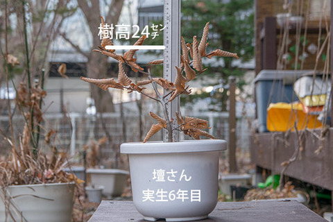 20171125inubuna_6y_dan_01.jpg