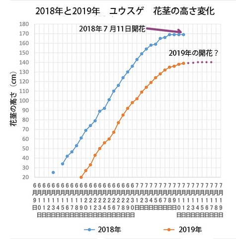 2018-2019]ԒuꃆEXQԌs.jpg