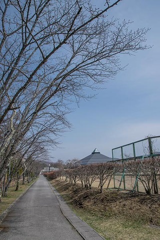 20180403yagasaki-sakura01.jpg