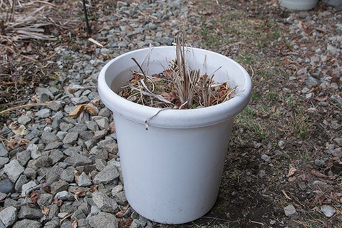 20180404yusuge_pot_9y_A01.jpg