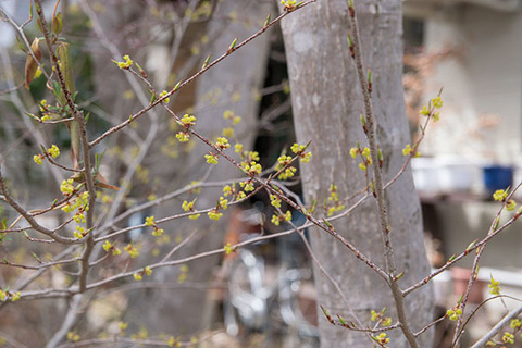 20180407museum-aburachan01.jpg