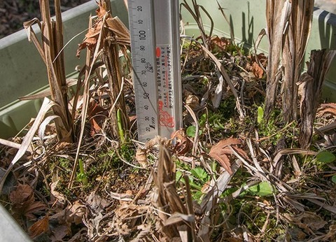 20180413yusuge_planter_10y_A02.jpg