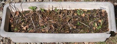 20180413yusuge_planter_4y_A_20150414-01.jpg