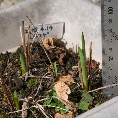 20180413yusuge_planter_4y_A_20150414-02.jpg