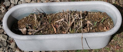 20180413yusuge_planter_4y_C_20150510-01.jpg