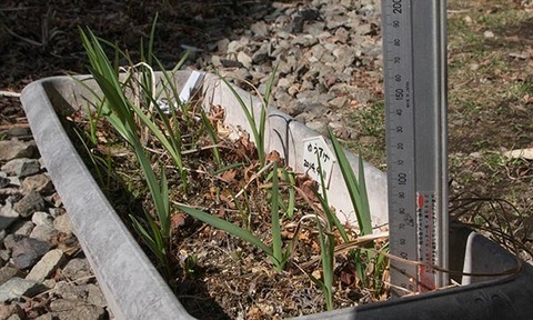 20180413yusuge_planter_5y_A_20140411-02.jpg