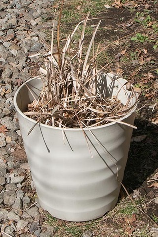 20180413yusuge_pot_10y_01.jpg