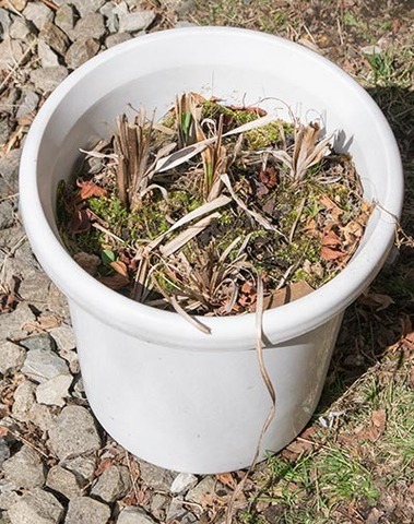 20180413yusuge_pot_9y_A01.jpg