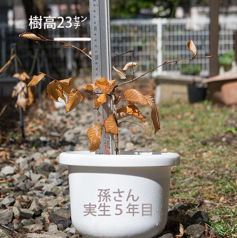 20180415inubuna_5y_son_01.jpg