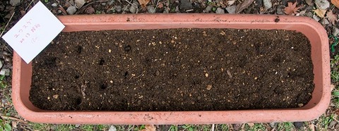 20180415yusuge_planter_1y_B2013seed02.jpg
