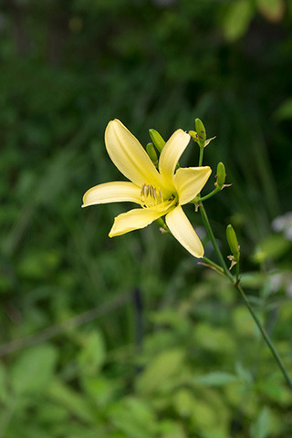 20180712yusuge_jiue01_1648.jpg
