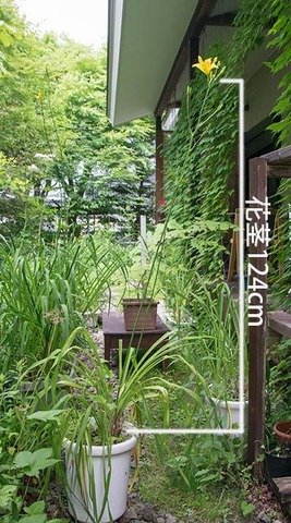 20180713yusuge_jiue01_0911_712J.jpg
