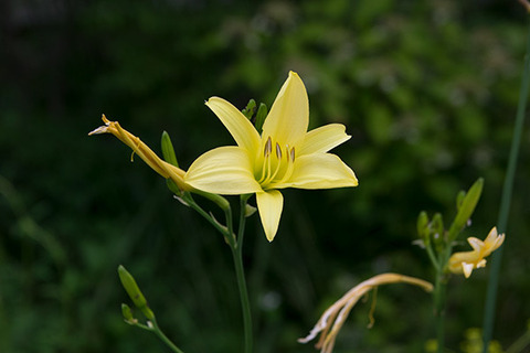 20180715yusuge_jiueA01_1652.jpg