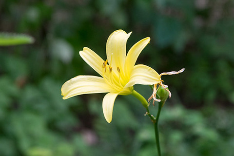 20180801yusuge01_1622.jpg